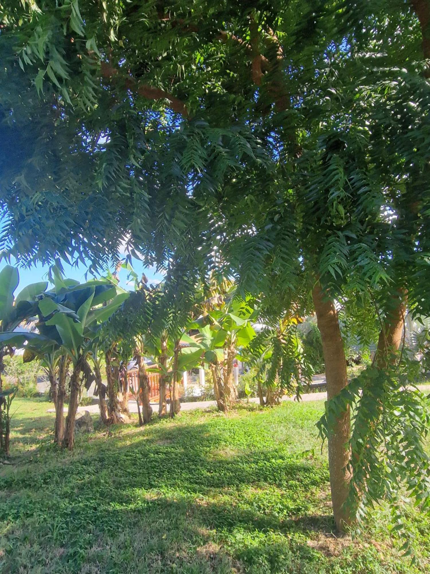 Les Villas De Boisvin Le Moule Buitenkant foto